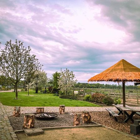 Bed and Breakfast De Worfthoeve Geel Zewnętrze zdjęcie