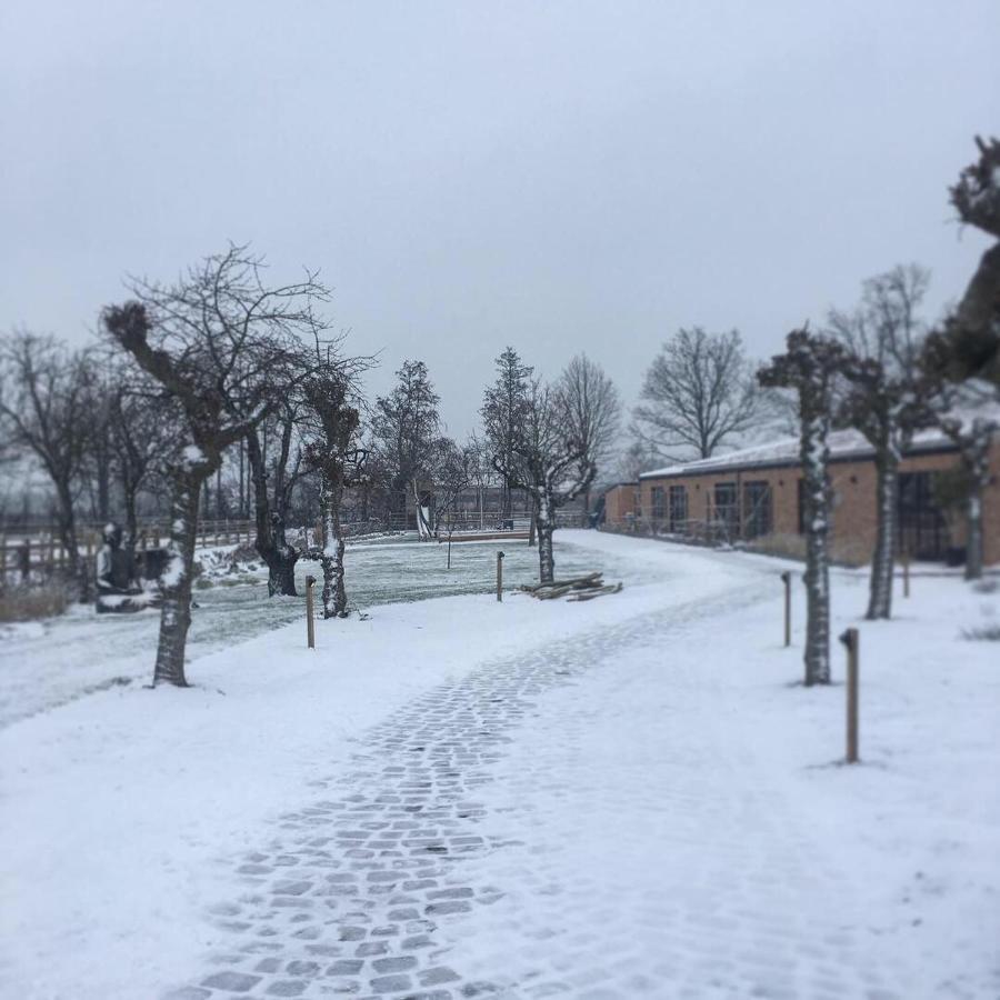 Bed and Breakfast De Worfthoeve Geel Zewnętrze zdjęcie