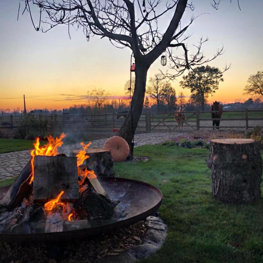 Bed and Breakfast De Worfthoeve Geel Zewnętrze zdjęcie
