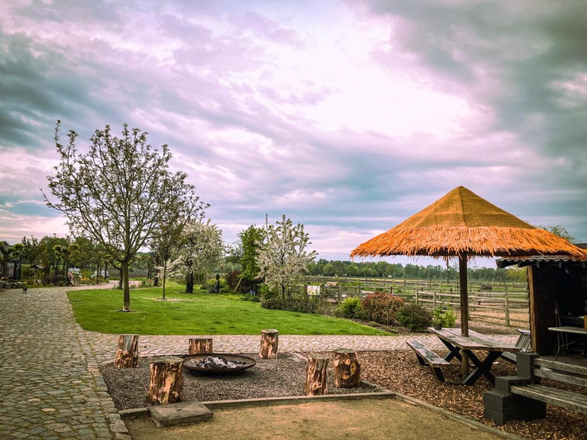Bed and Breakfast De Worfthoeve Geel Zewnętrze zdjęcie
