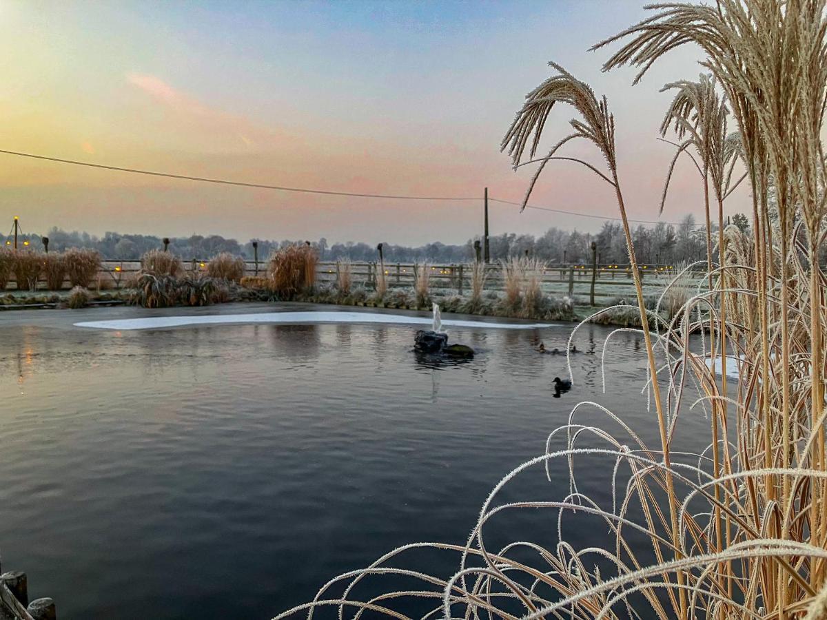 Bed and Breakfast De Worfthoeve Geel Zewnętrze zdjęcie