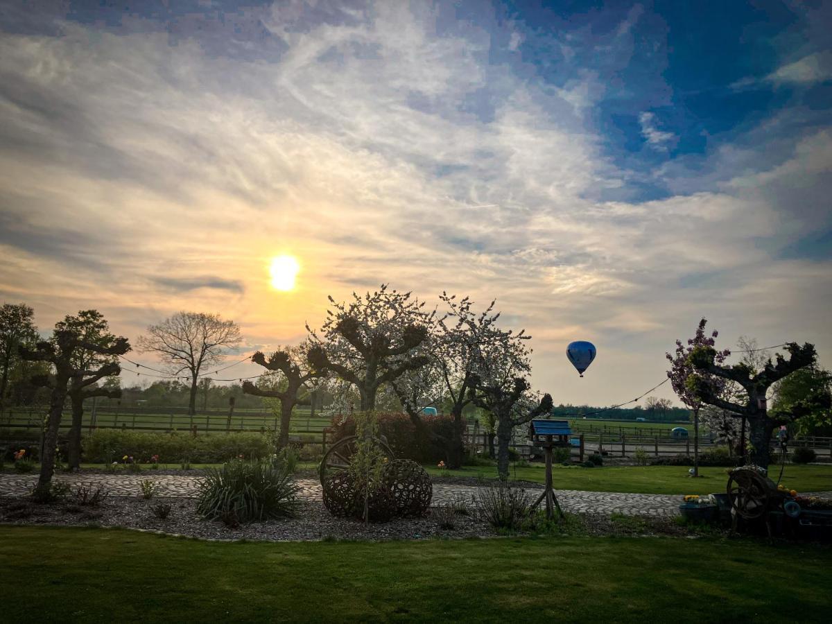 Bed and Breakfast De Worfthoeve Geel Zewnętrze zdjęcie